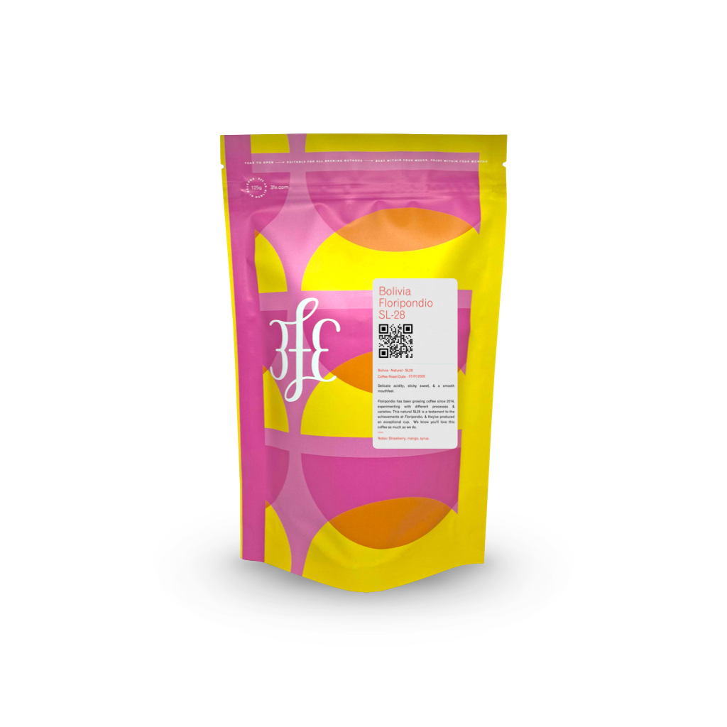 Bolivia - Floripondio