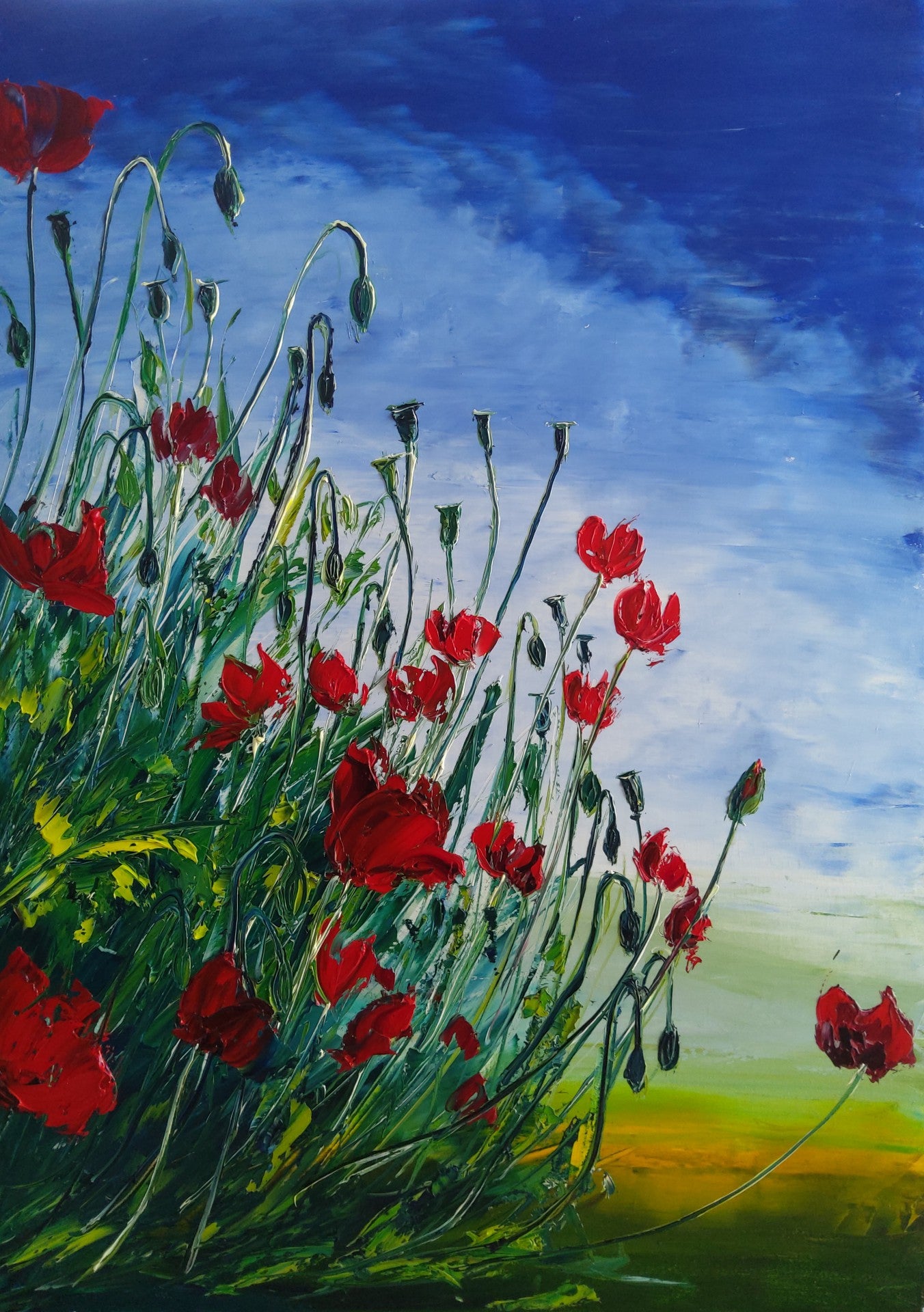 Summer Poppies By The Sea