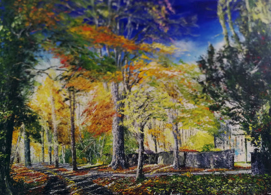 The Old Wall Along The Port Road - Killarney National Park