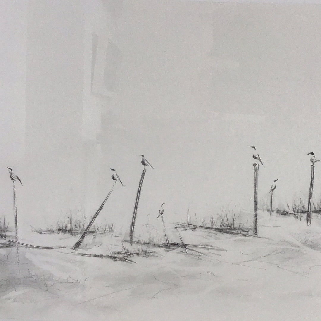 Listen to the Birds Singing