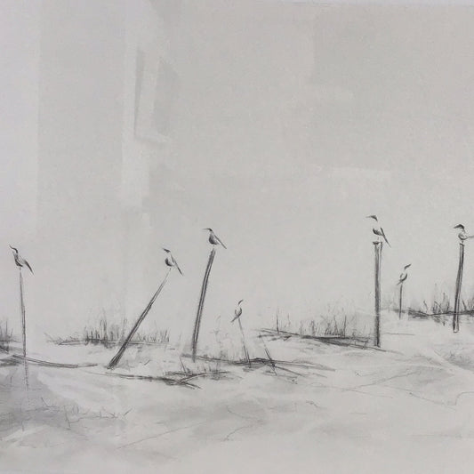 Listen to the Birds Singing