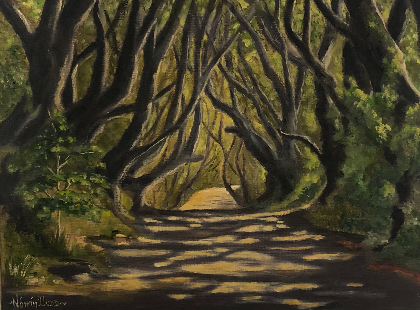 Dark Hedges, Co. Antrim