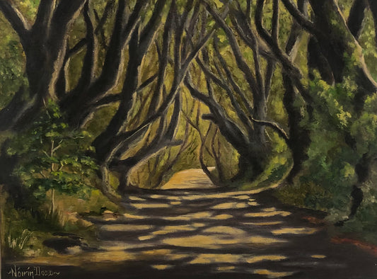 Dark Hedges, Co. Antrim