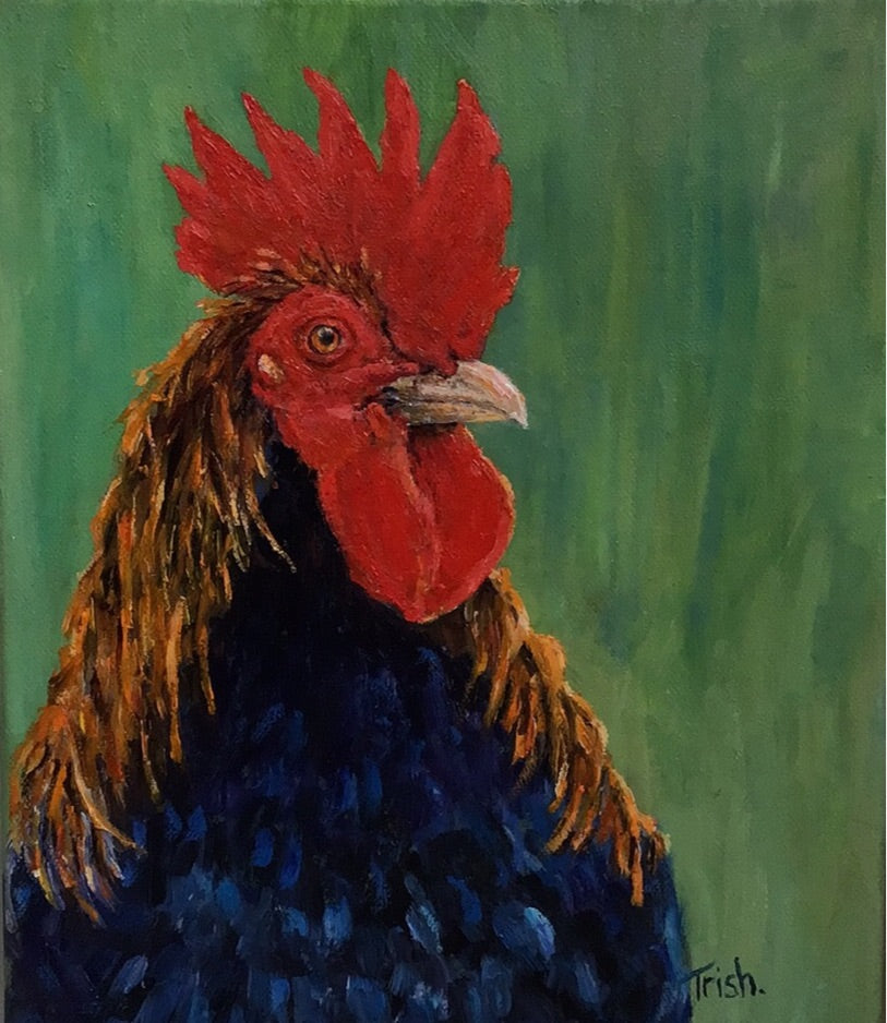 Rooster