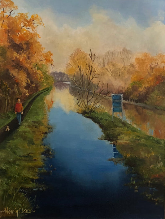 Canal Walk, Milford,Co.Carlow