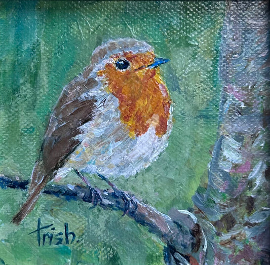 Spring Robin (2)