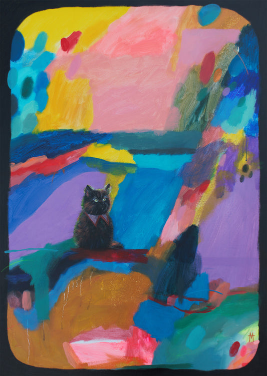Cat in a Coloured Place