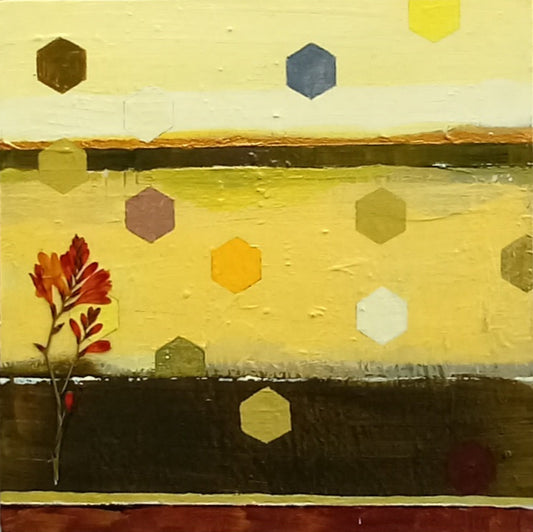 Pressed Flowers on Geometric Shapes