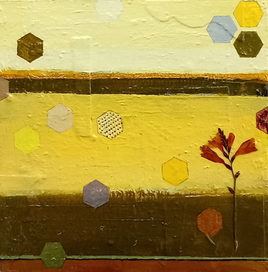 Pressed Flowers on Geometric Shapes 3