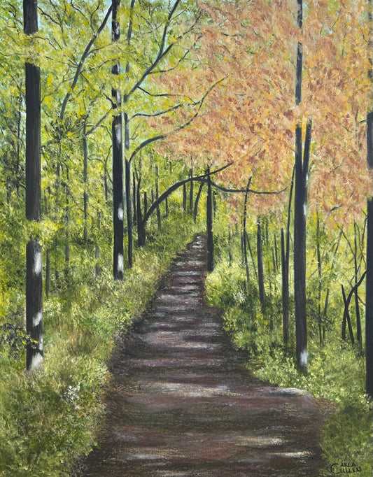 Forest Walk