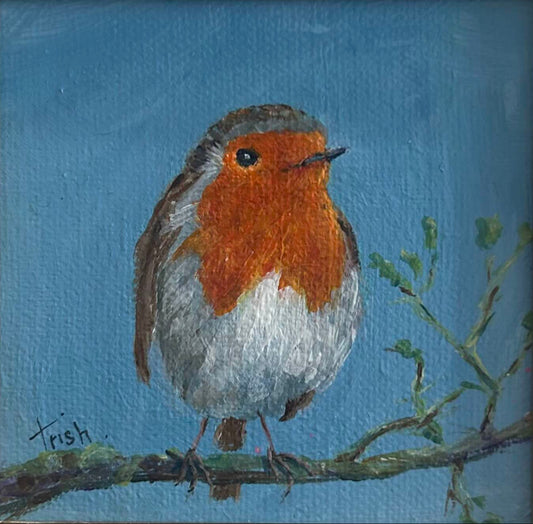 Jackies' Robin