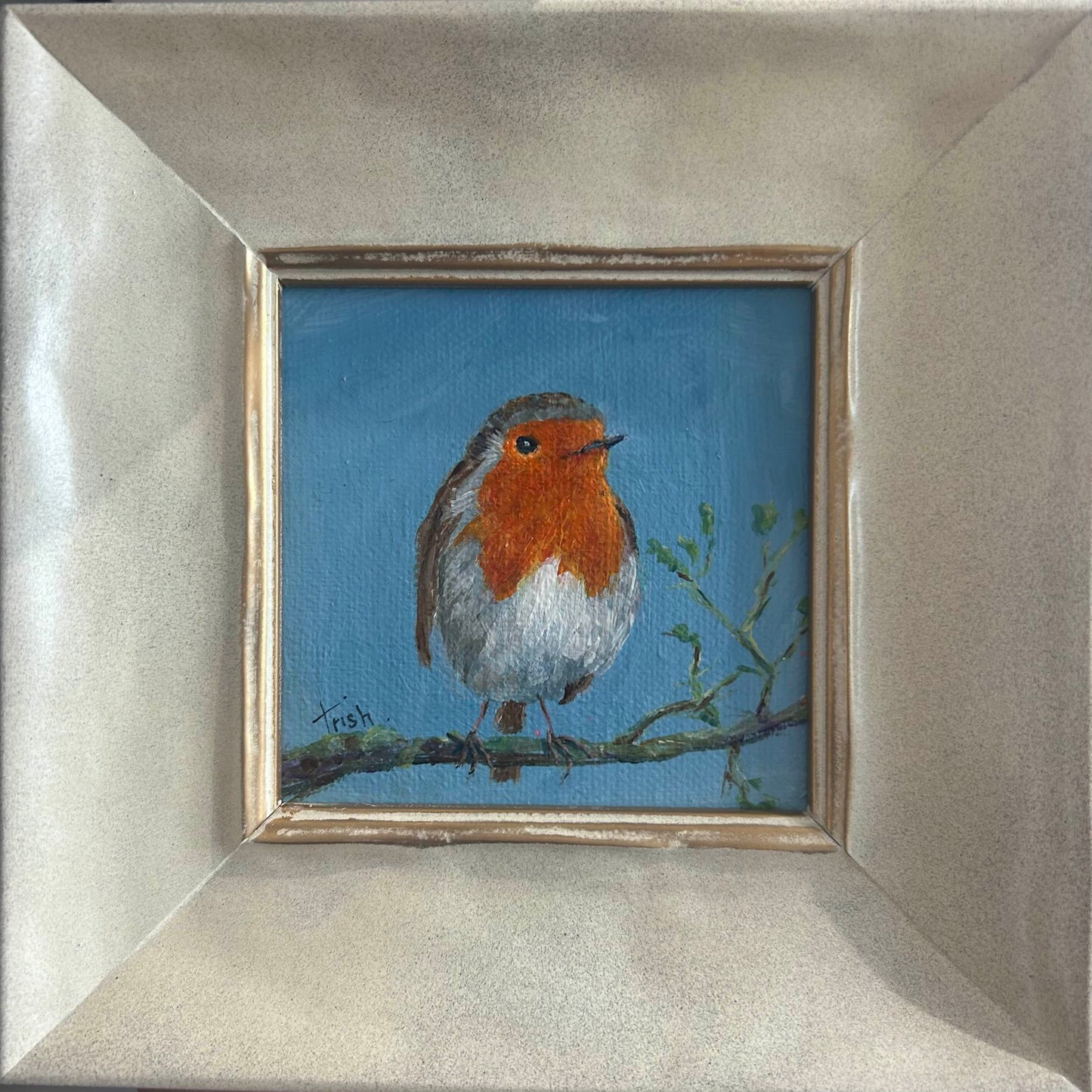 Jackies' Robin