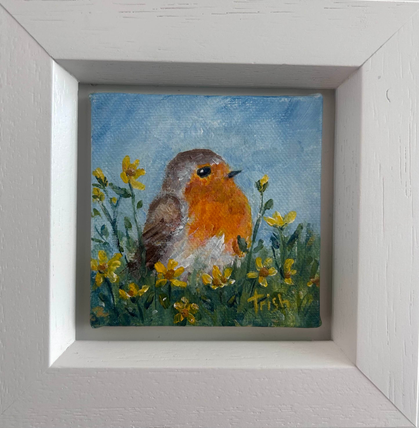 Robin in Yellow Flowers