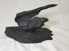 Bog Oak