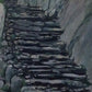 Sacred Steps