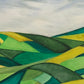 Summer Landscape